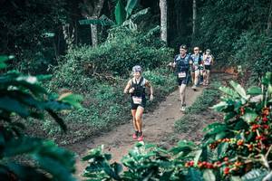 BIB: 
                            <button type="button" onclick="openModal(25795231)" class="btn btn-primary btn-sm float-right btn-popup" data-toggle="modal" data-target=".modal-high-quality">
                        <i class="fas fa-shopping-cart"></i> Add to Cart
                    </button>
                                            <button type="button" onclick="isThisMe(25795231, true)" class="btn btn-success btn-sm float-right btn-popup btn-isme hidden" data-toggle="tooltip" data-placement="bottom" title="นี่คือรูปของคุณใช่ไหม คลิกที่นี่เพื่อเอาเข้าอัลบั้ม">
                        <i class="fas fa-plus"></i> Add to album
                    </button>
                    <button type="button" onclick="isThisMe(25795231, false)" class="btn btn-warning btn-sm float-right btn-popup btn-isnotme hidden">
                        <i class="fas fa-ban"></i> Remove from album
                    </button>